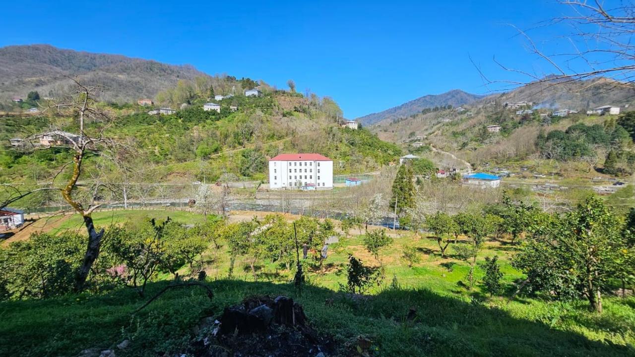 KhalaGuest Hause Giorgi,Kobuleti- Xala公寓 外观 照片